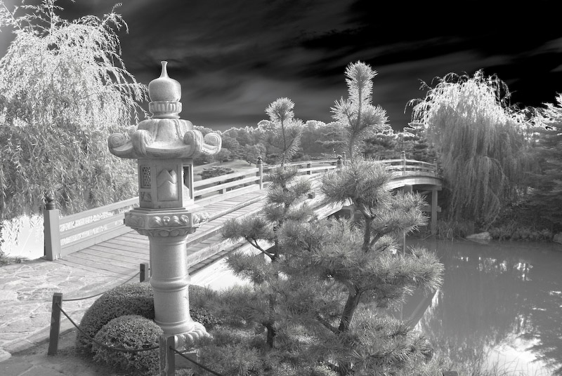 The Bridge 1